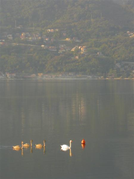 956 Italy Oct 08 (800x600).jpg